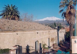 Property grounds - Bed & Breakfast on the slopes of Etna (Trecastagni)