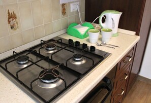 Fridge, oven, stovetop, coffee/tea maker
