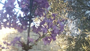 A stone building with a courtyard, featuring a window with green shutters and a small table. - Villa Koumneni - Sea and mountain peace and tranquility (Paphos)
