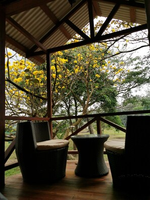 テラス / パティオ