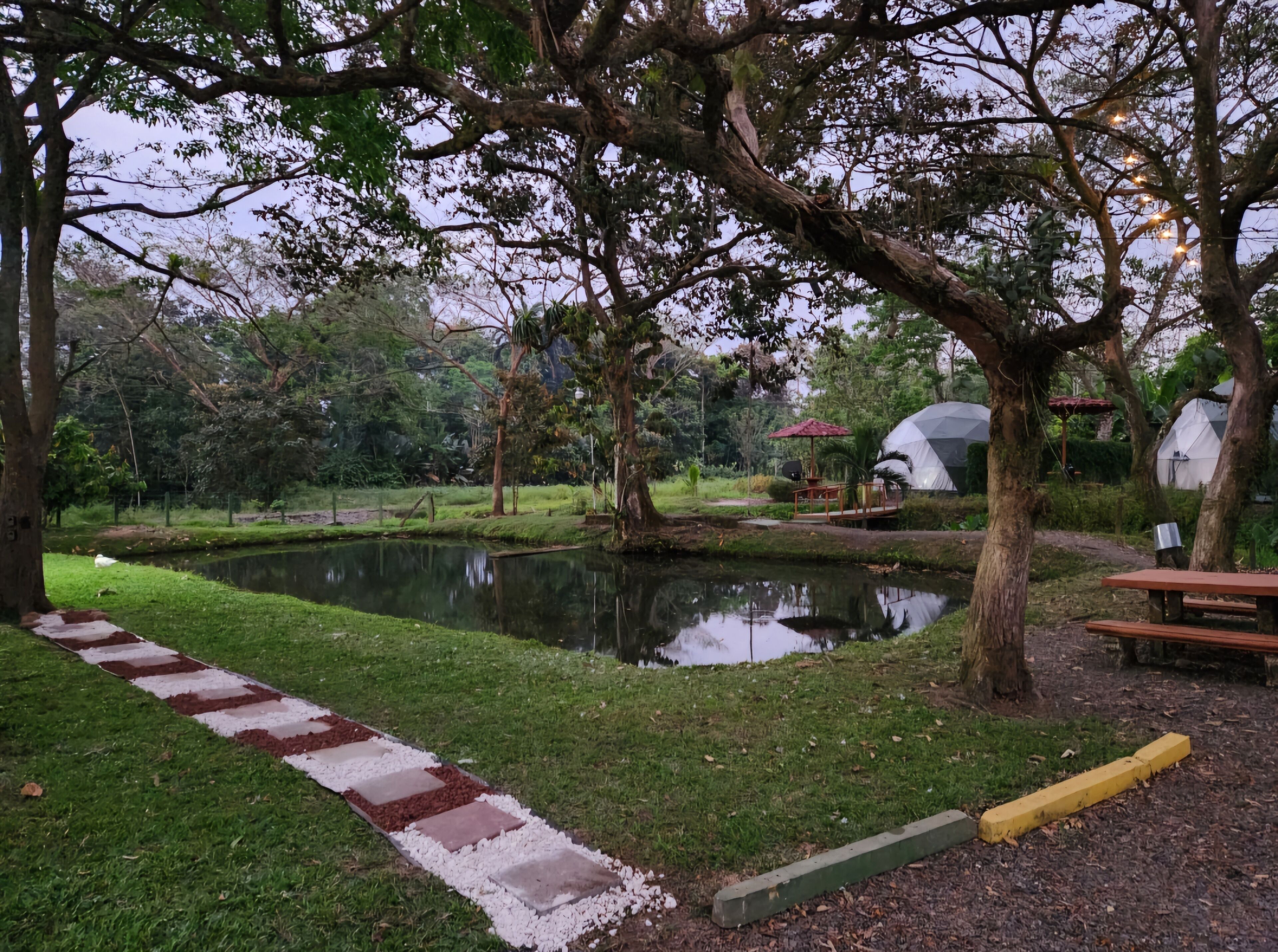 Un parque tranquilo con un estanque, senderos para caminar y zonas de picnic.