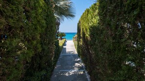 A pathway leading to a beach with dense greenery on both sides.