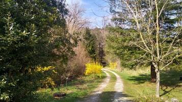 Área da propriedade