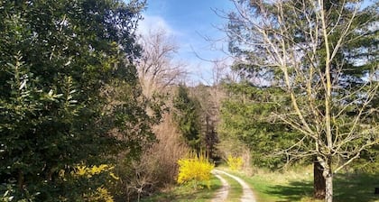 Rodeado de bosques, estribaciones y ríos, amplia casa rural en el País Cátaro