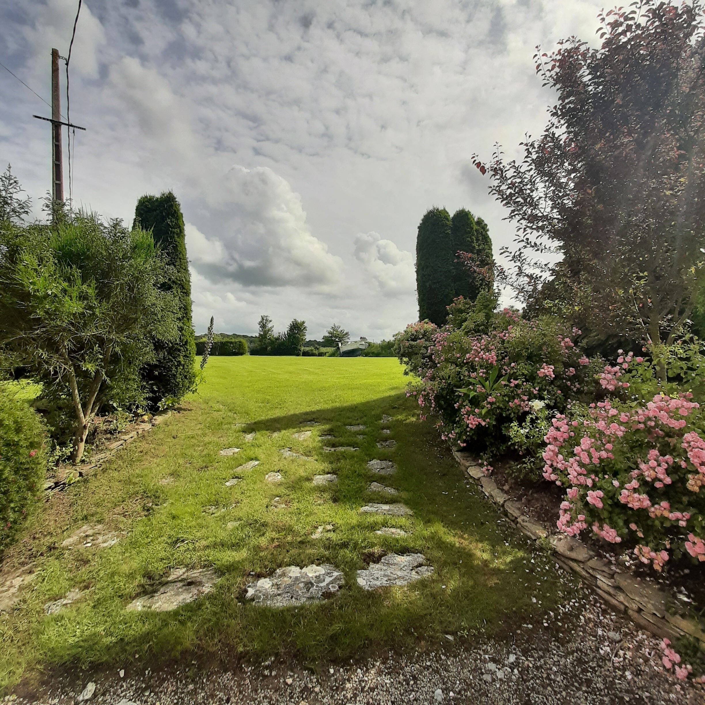 Un sentier bordé d’herbe, ponctué de pierres plates, traverse un jardin où s’épanouissent des fleurs roses et s’élèvent des arbres.