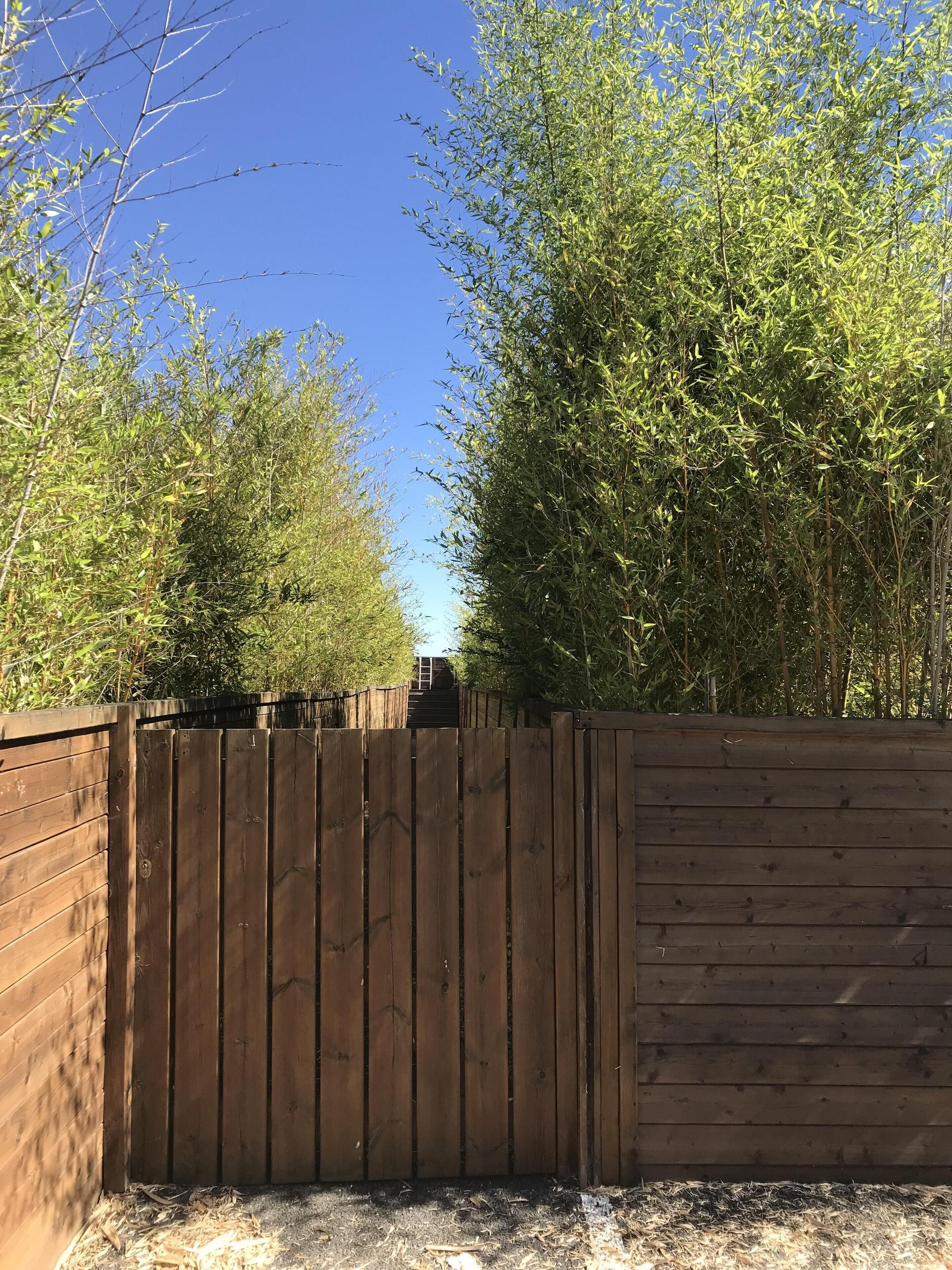 A wooden fence with a metal gate, leading to a staircase.