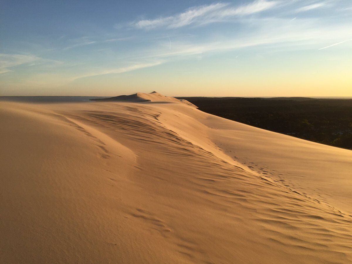 A vast desert landscape with undulating sand dunes and a clear sky.