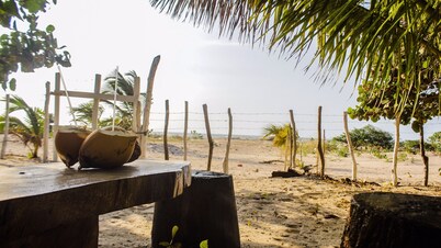 ¡¡Come and visit the pink flamingos!!! ¡¡Live the Wayuu experience!!