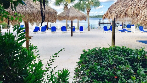Een strand met rieten parasols, blauwe ligstoelen en palmbomen.