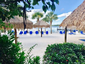 Een strand met rieten parasols, blauwe ligstoelen en palmbomen.