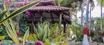 ¡¡Come and visit the pink flamingos!!! ¡¡Live the Wayuu experience!!