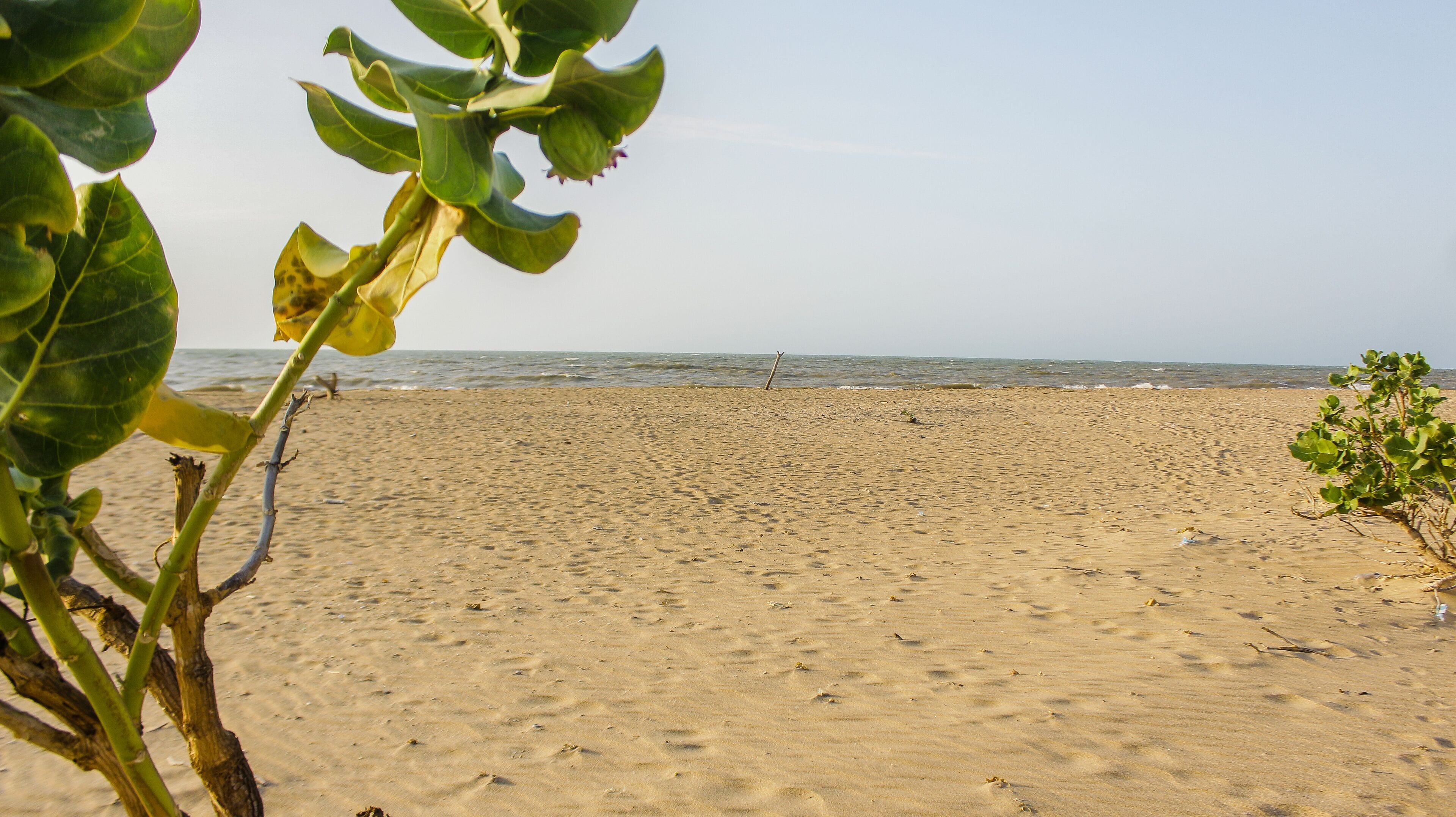 Plage à proximité, chaises longues