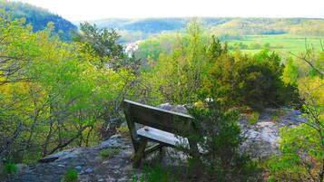 Vistas desde el alojamiento