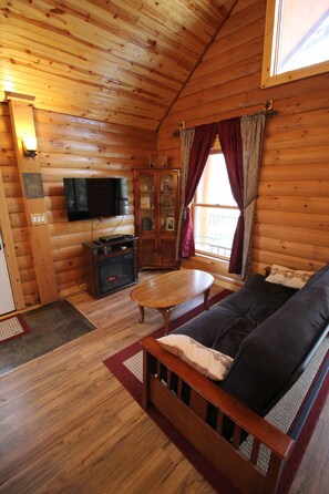 Smart TV, DVD player, books, video library