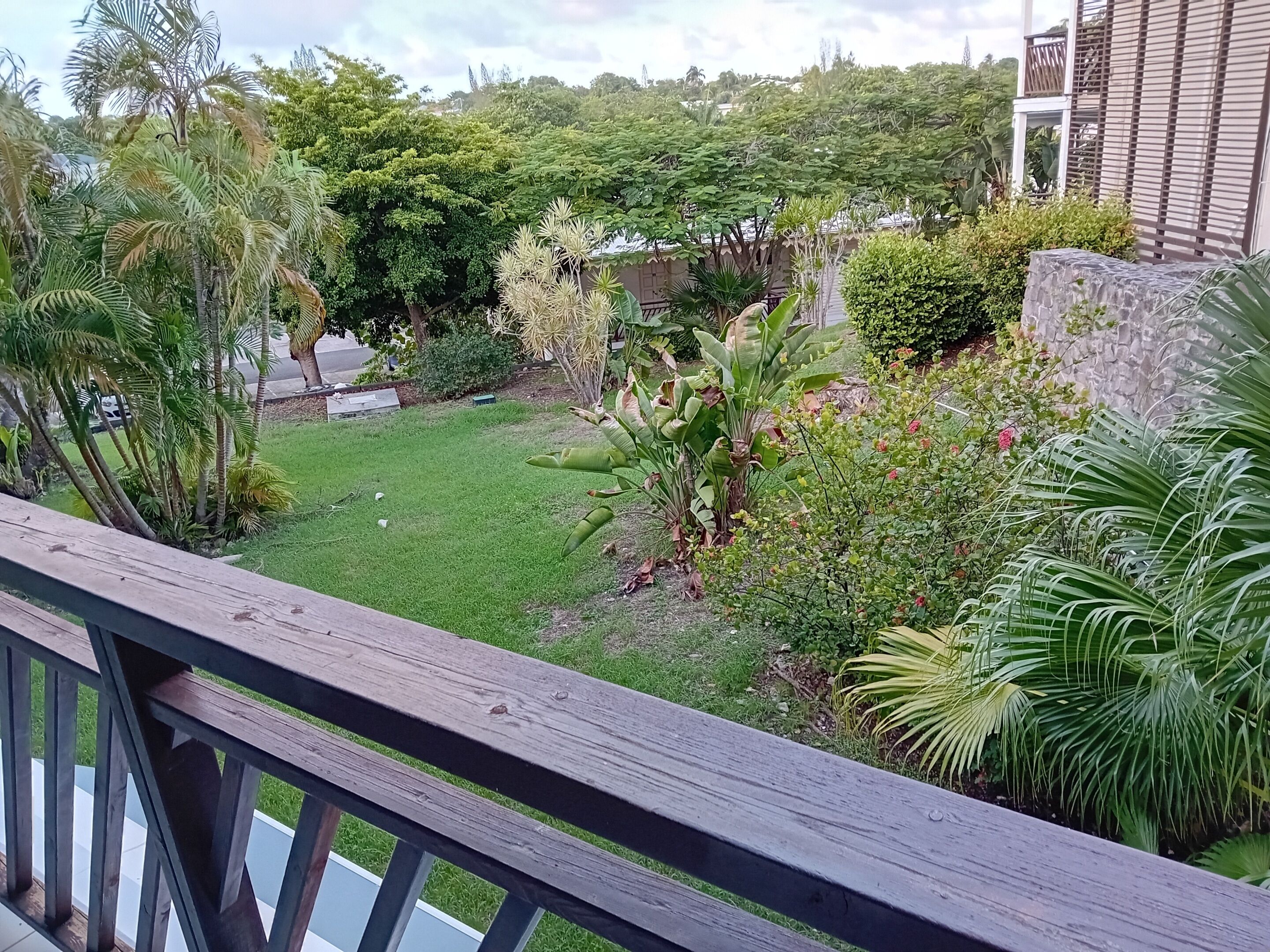 A lush garden with various plants and a wooden deck.