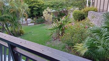 A lush garden with various plants and a wooden deck.