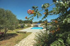 Alberca