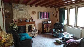 Televisie, een open haard, videospelletjes en een dvd-speler