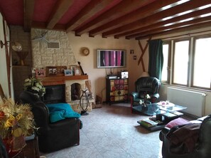 Télévision, cheminée, jeux vidéo, lecteur de DVD