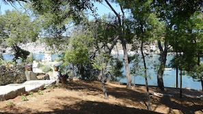 Parco della struttura
