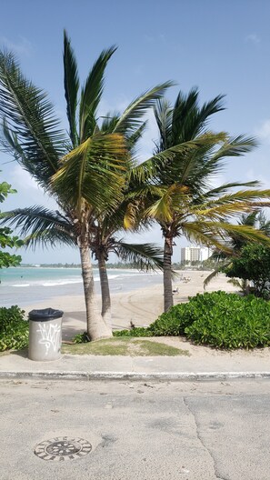 Una playa con palmeras, un bote de basura y una vista despejada del océano.