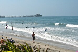 Playa en los alrededores y toallas de playa 