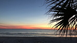 En strand med en solnedgång, en palm och strandstolar.