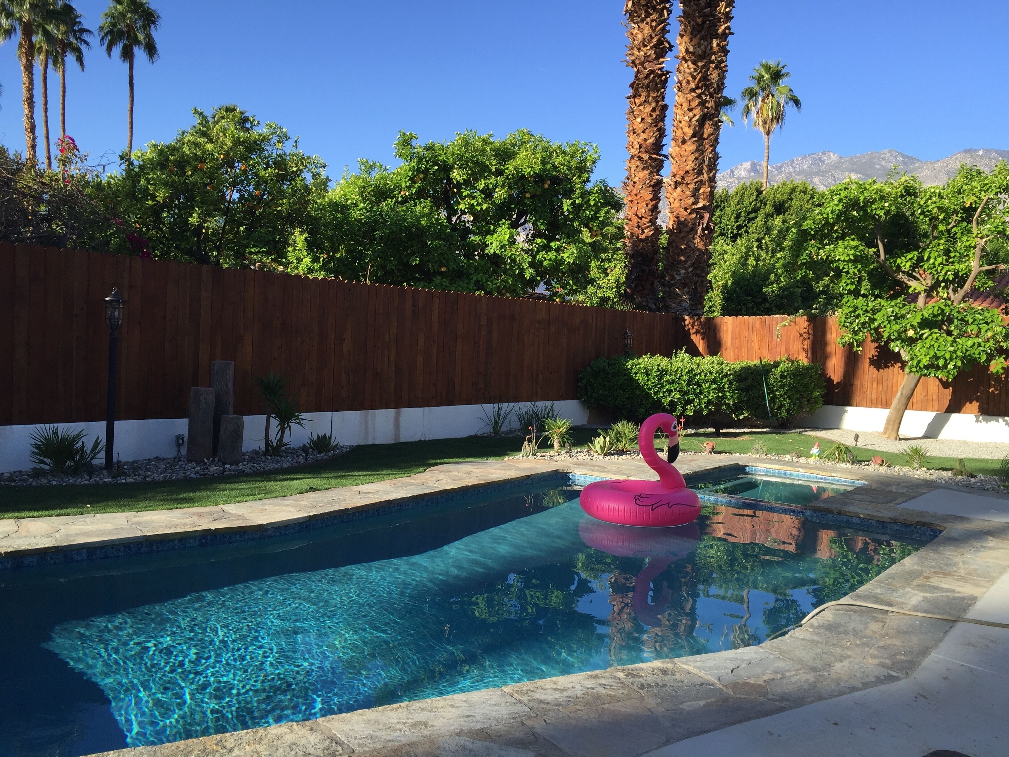 New, Modern, Family Friendly Palm Springs Oasis of Luxury! 