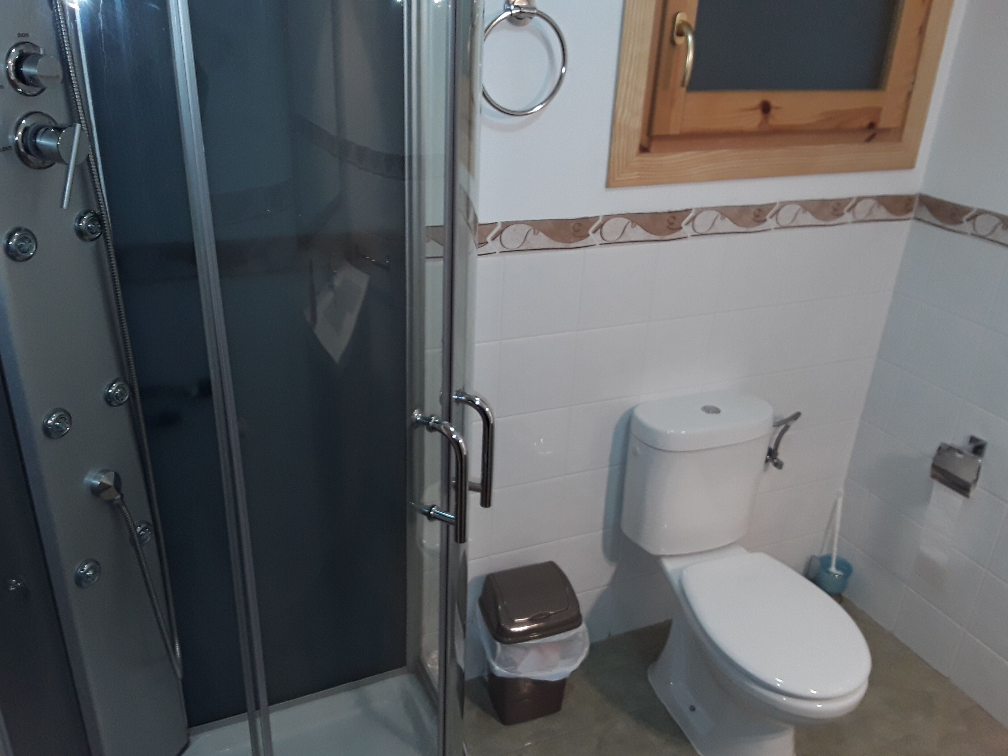 A bathroom with a glass shower enclosure, a toilet, and a small trash bin.