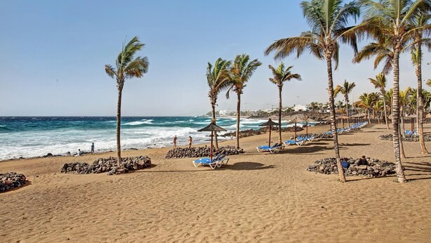 A beach with palm trees, lounge chairs, and a rocky shoreline. - Apartment the Quintero (Tías)