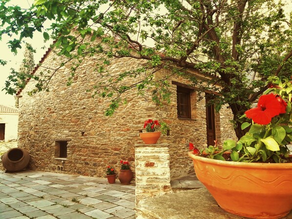 Courtyard view