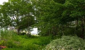 Terrain de l’hébergement