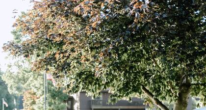 Corkys Cabin On the Kawkawlin River Private Beach Access BAY CITY