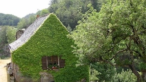 A house covered in ivy, with a stone wall and a small window. - Aux Caprices d'Aubrac (Laguiole)