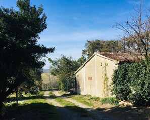 Property grounds - House in the country one step from the sea CI 050023LTN0017 (Orciano Pisano)