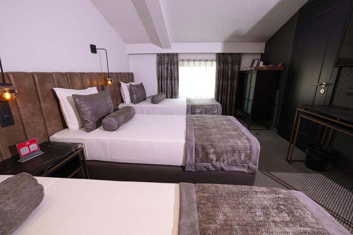 Standard Triple Room, 3 Twin Beds, Garden View | Minibar, in-room safe, desk, blackout drapes