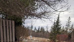 A rural road sign indicating 'Aldernest' with a number '18' on a wooden post.