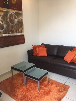 TV, DVD player, books, music library