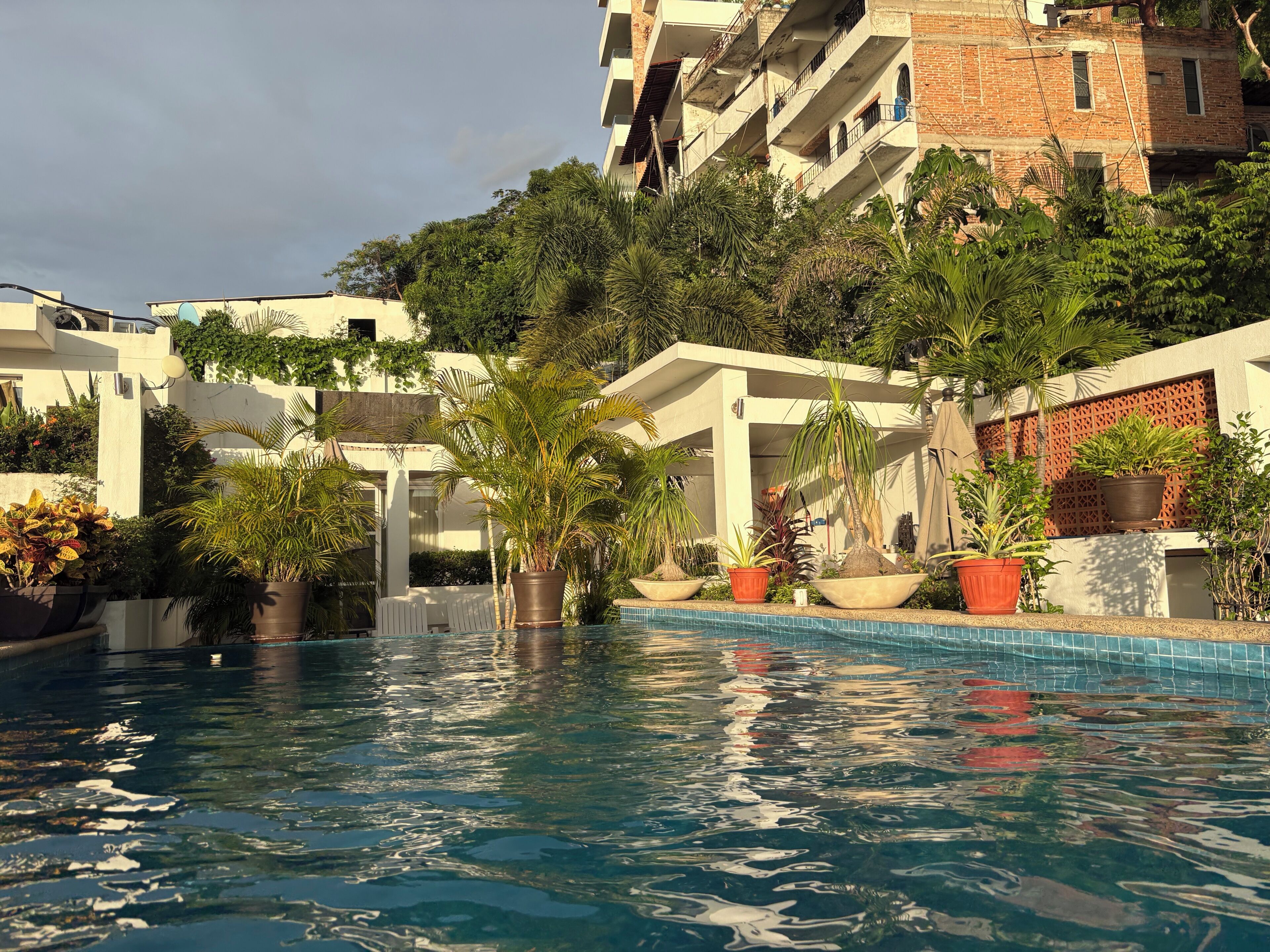 A swimming pool with clear water, surrounded by potted plants and a building with balconies.