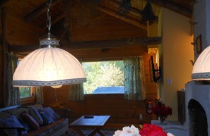 Smart TV, chimenea, Netflix, libros