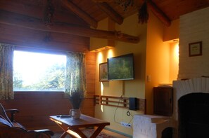 Smart TV, fireplace, Netflix, books