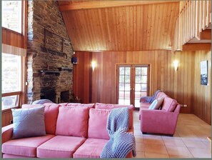 TV, fireplace, DVD player, books