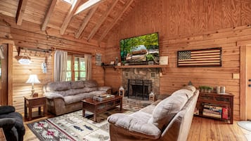 TV, fireplace, DVD player, video library