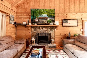 电视、壁炉、DVD 播放器、影片库