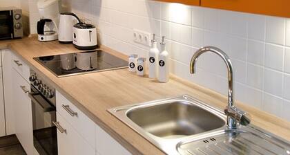 Schimmelreiter, exclusive FW auf Nordstrand, Erholung pur, Wandern, Radeln