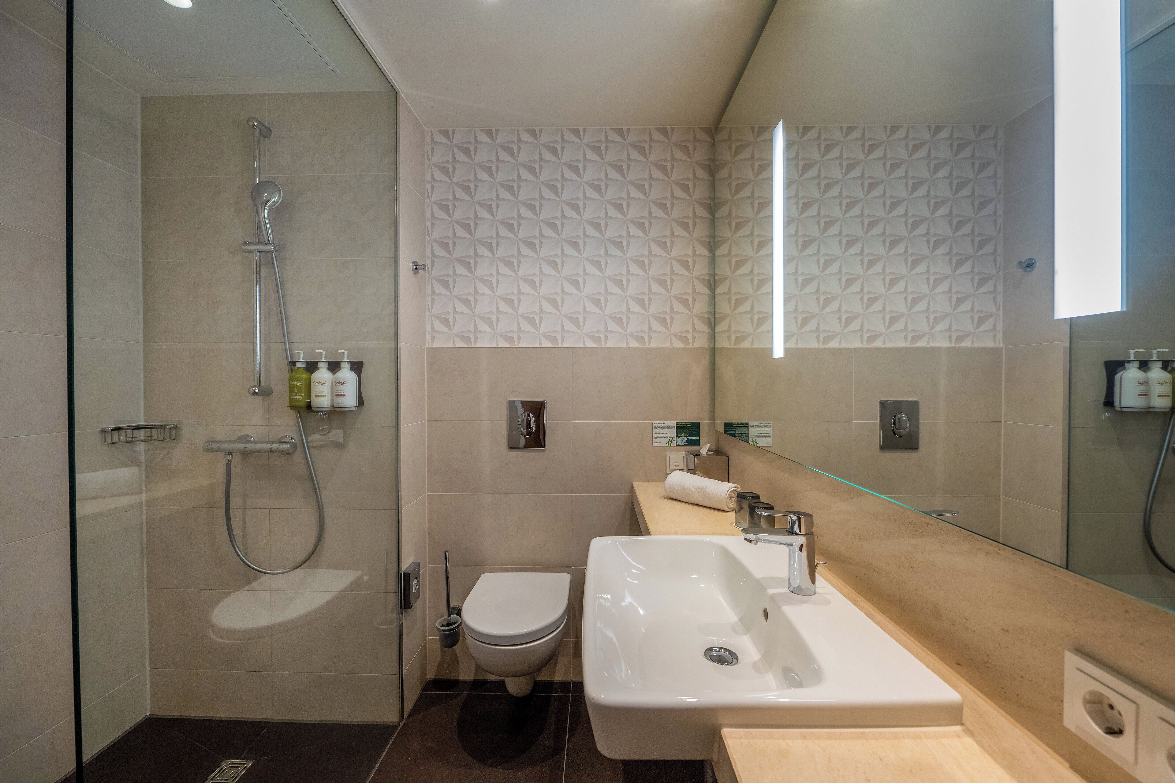 A modern bathroom with a glass shower enclosure, a toilet, a sink, and a mirror.