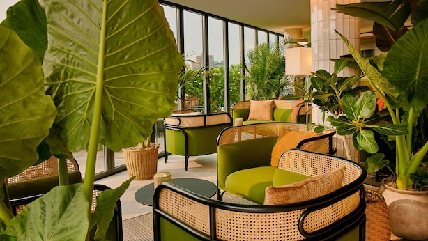 A modern indoor seating area with green upholstered chairs and wicker accents, surrounded by large potted plants. - Hotel Indigo Williamsburg - Brooklyn by IHG (Brooklyn)