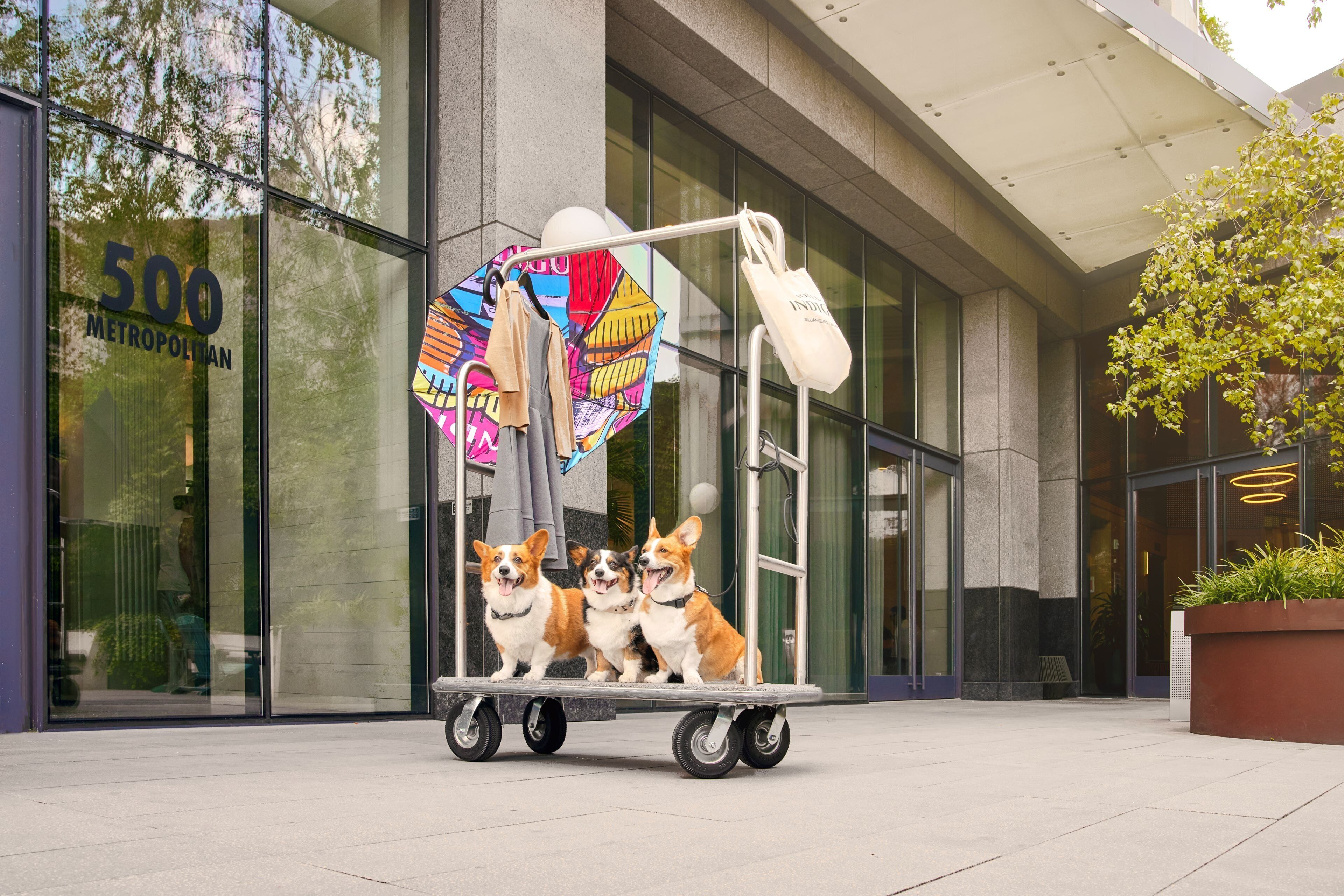 Foto - Hotel Indigo - Williamsburg - Brooklyn by IHG