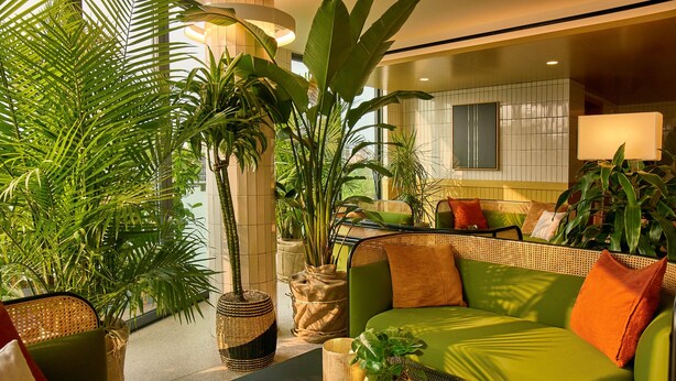 A modern living room with a green sofa, a black coffee table, and various potted plants. - Hotel Indigo Williamsburg - Brooklyn by IHG (Brooklyn)
