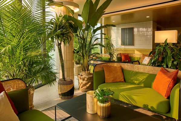 Una sala moderna con un sofá verde, una mesa de centro negra y varias plantas en macetas.